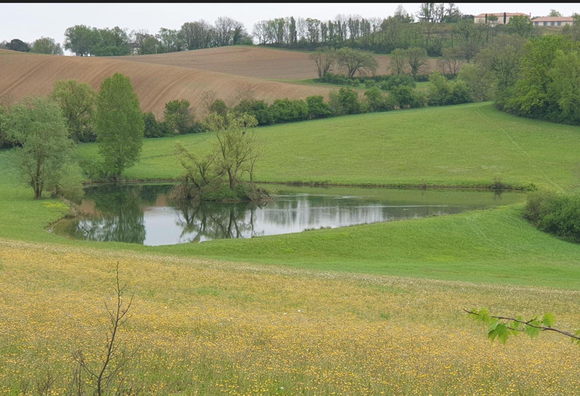 Seuls En Pleine Nature - Gite La Cote Blanche Puygaillard-de-Quercy Exterior photo